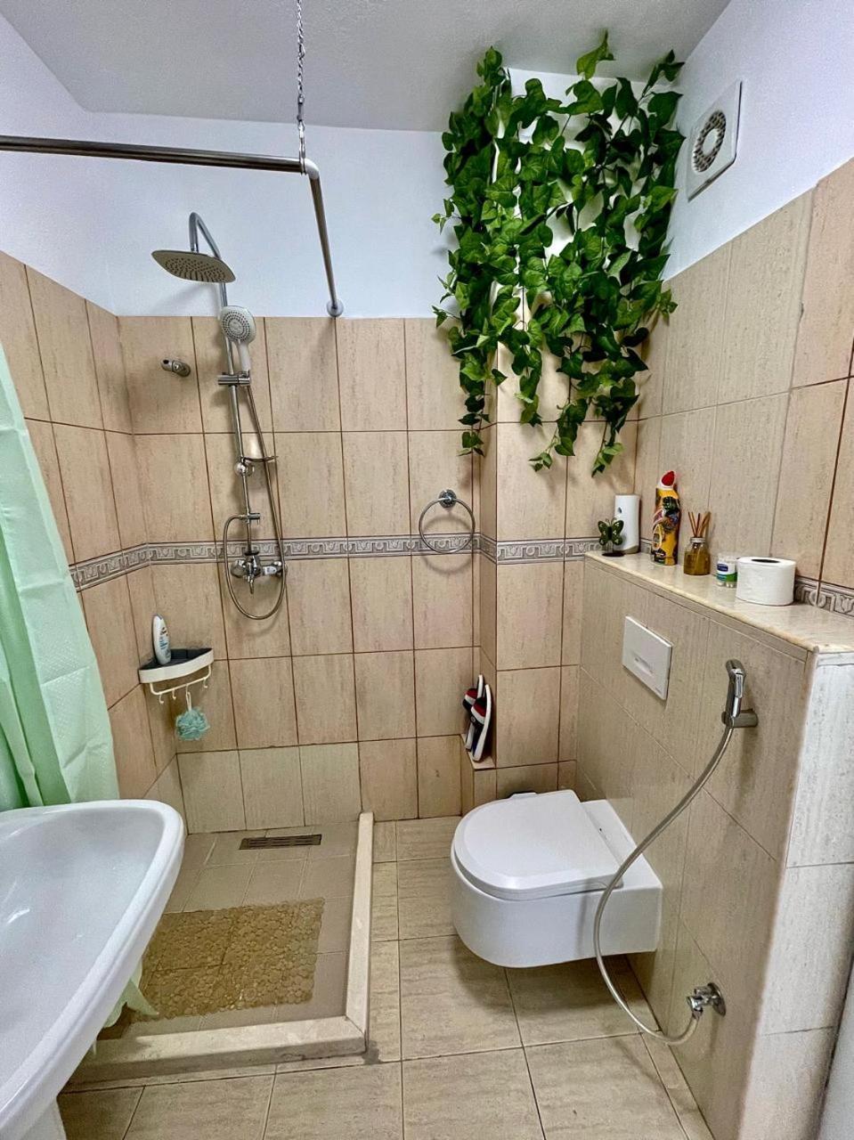טיראנה Flex Apartment מראה חיצוני תמונה