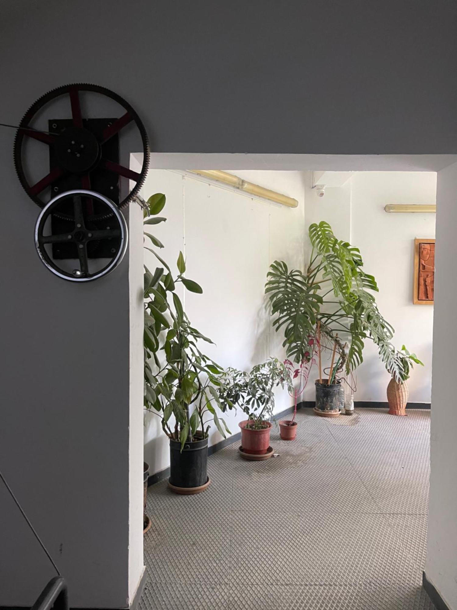 טיראנה Flex Apartment מראה חיצוני תמונה